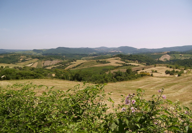 Una tarda primavera sulla Tolfa